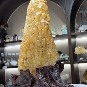 IMG_4700 黄金喜馬拉雅城堡