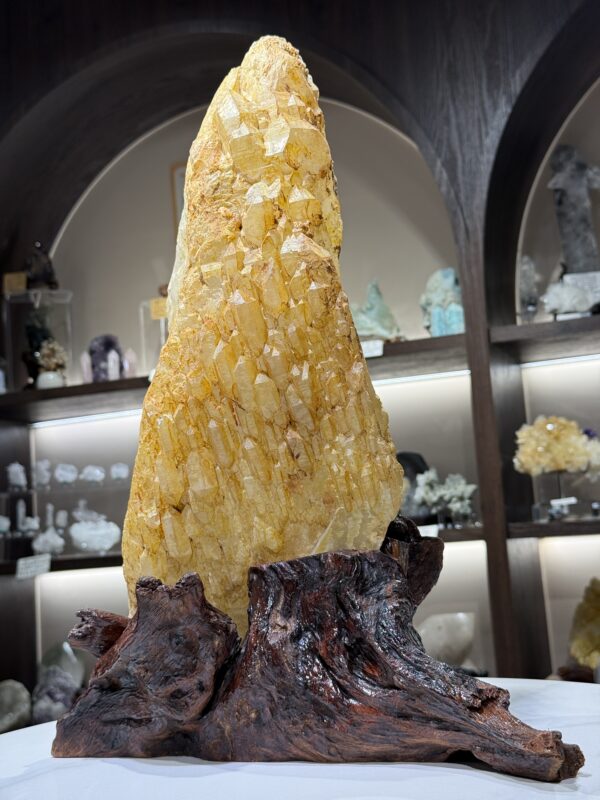 黄金喜馬拉雅城堡