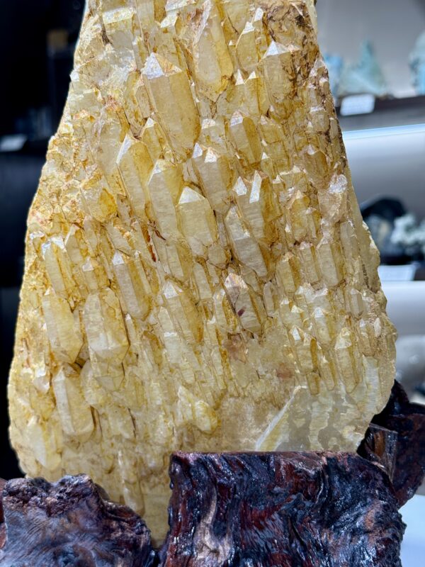 黄金喜馬拉雅城堡