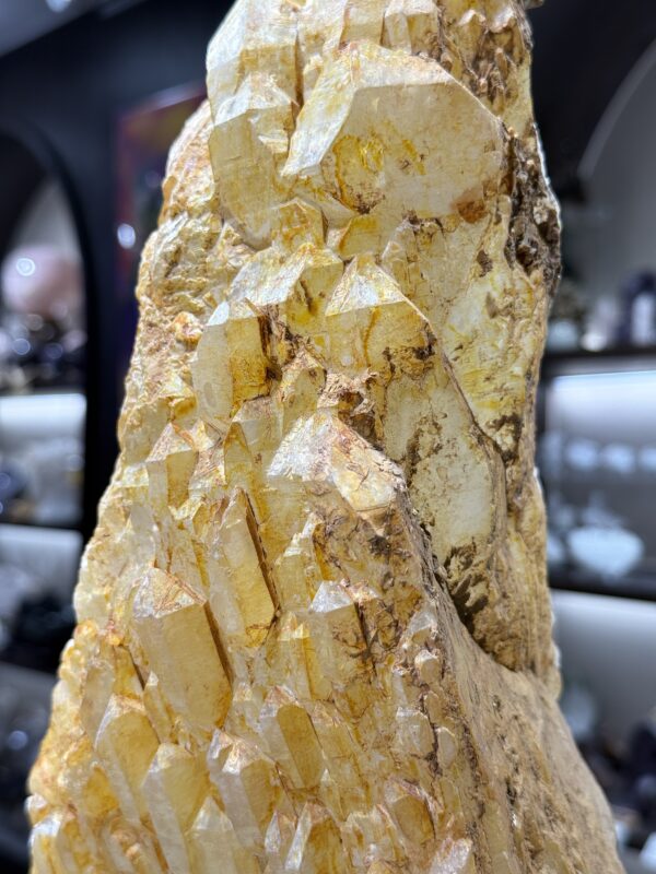 黄金喜馬拉雅城堡