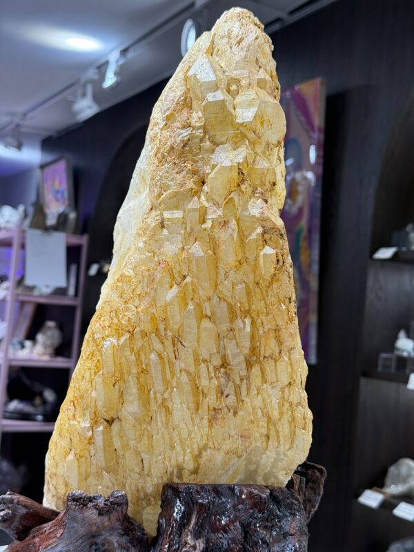 黄金喜馬拉雅城堡