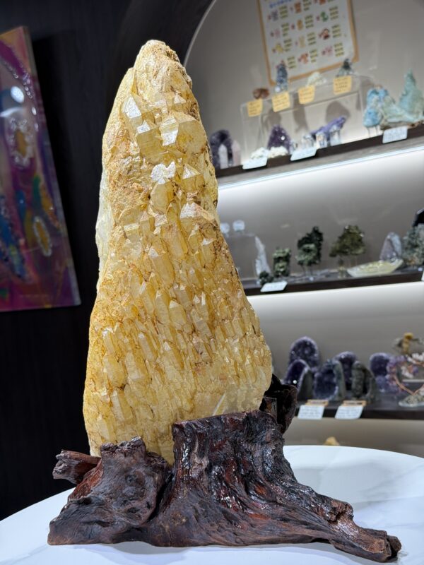 黄金喜馬拉雅城堡