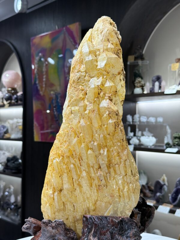 黄金喜馬拉雅城堡