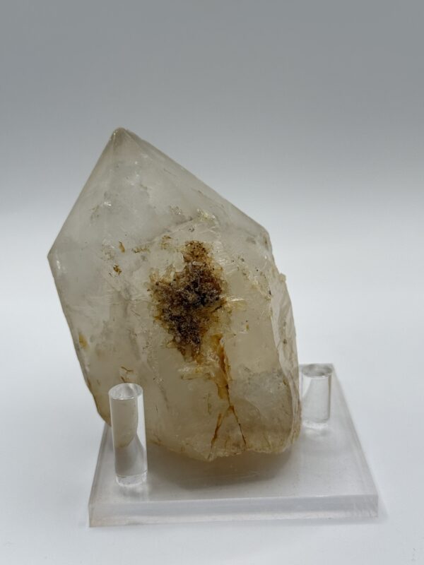 喜馬白水大骨幹