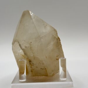 喜馬白水大骨幹