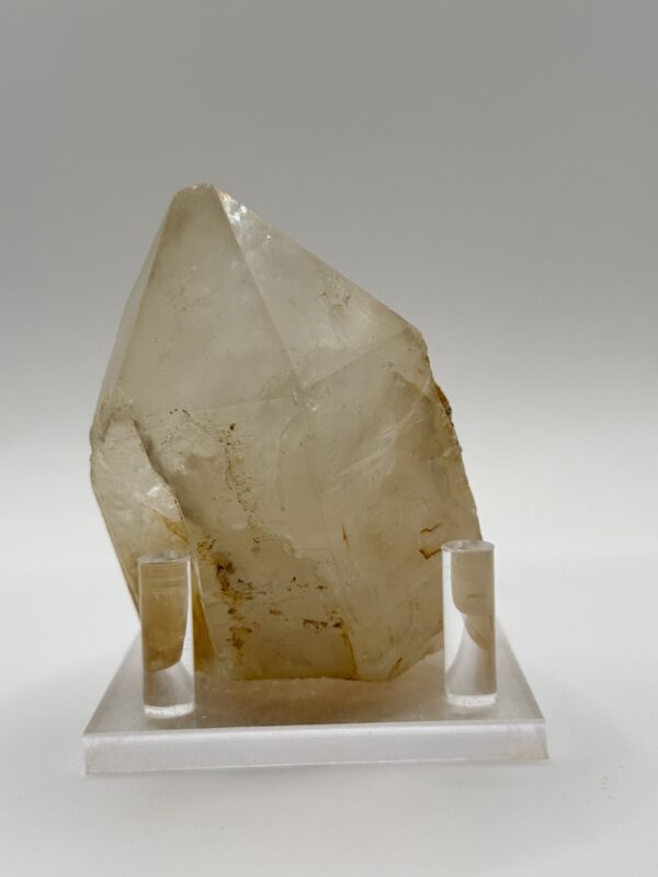 喜馬白水大骨幹