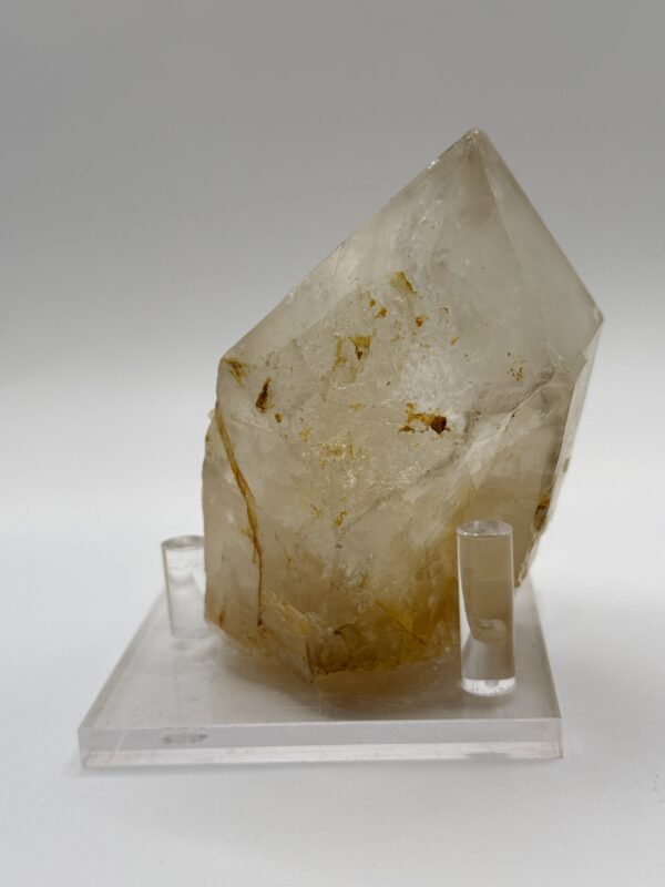 喜馬白水大骨幹